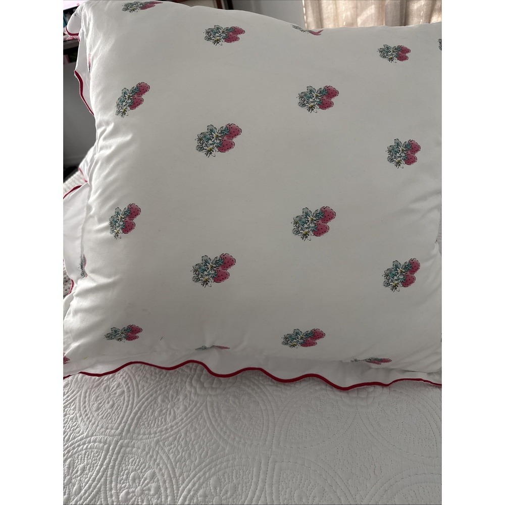 Rachel Ashwell Dreamy Strawberry Ruffle Pillows Set of 2. 25x25 Cottage Core